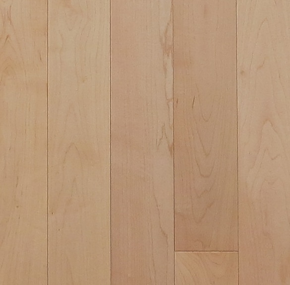 Tosca Natural Maple Solid Hardwood